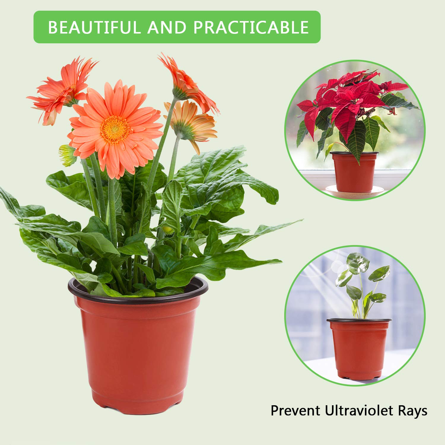 Augshy lightweight reusable plastic pots for repeated seasons