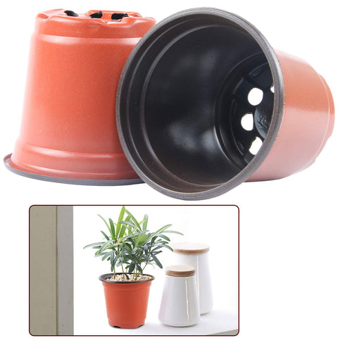 Augshy lightweight plastic pot ideal for propagation and transplanting.