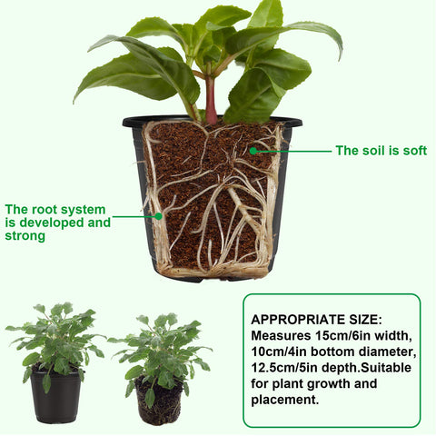 Augshy lightweight, sturdy plastic pot designed for reuse and simple cleaning.