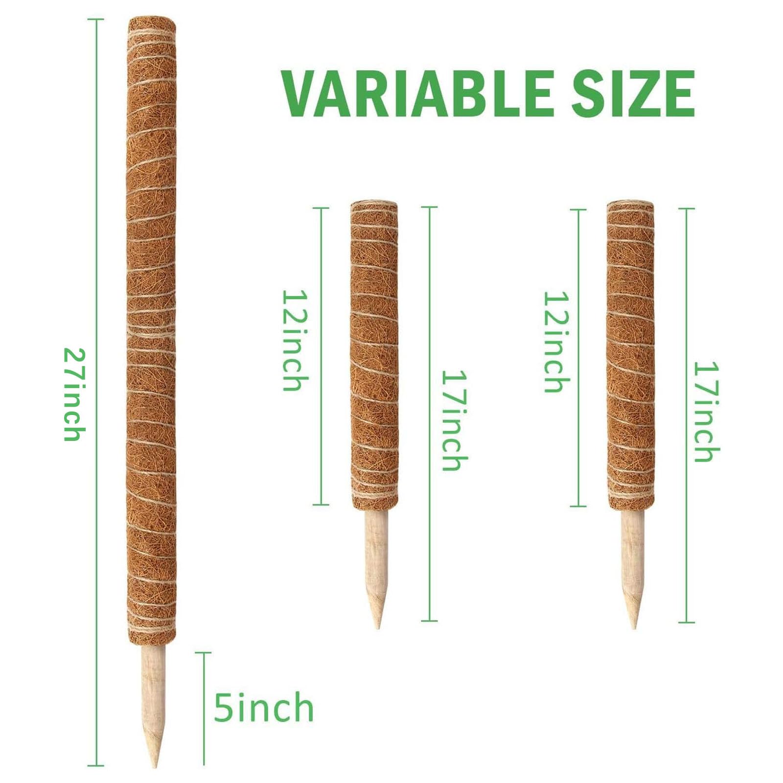 Augshy 17-inch plant stake paired with moss pole for growth.