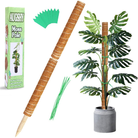 Augshy moss pole 27-inch two-pack supports climbing plants.