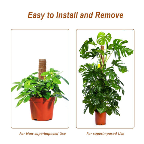 Includes twist ties and plant tags with Augshy moss pole kit.