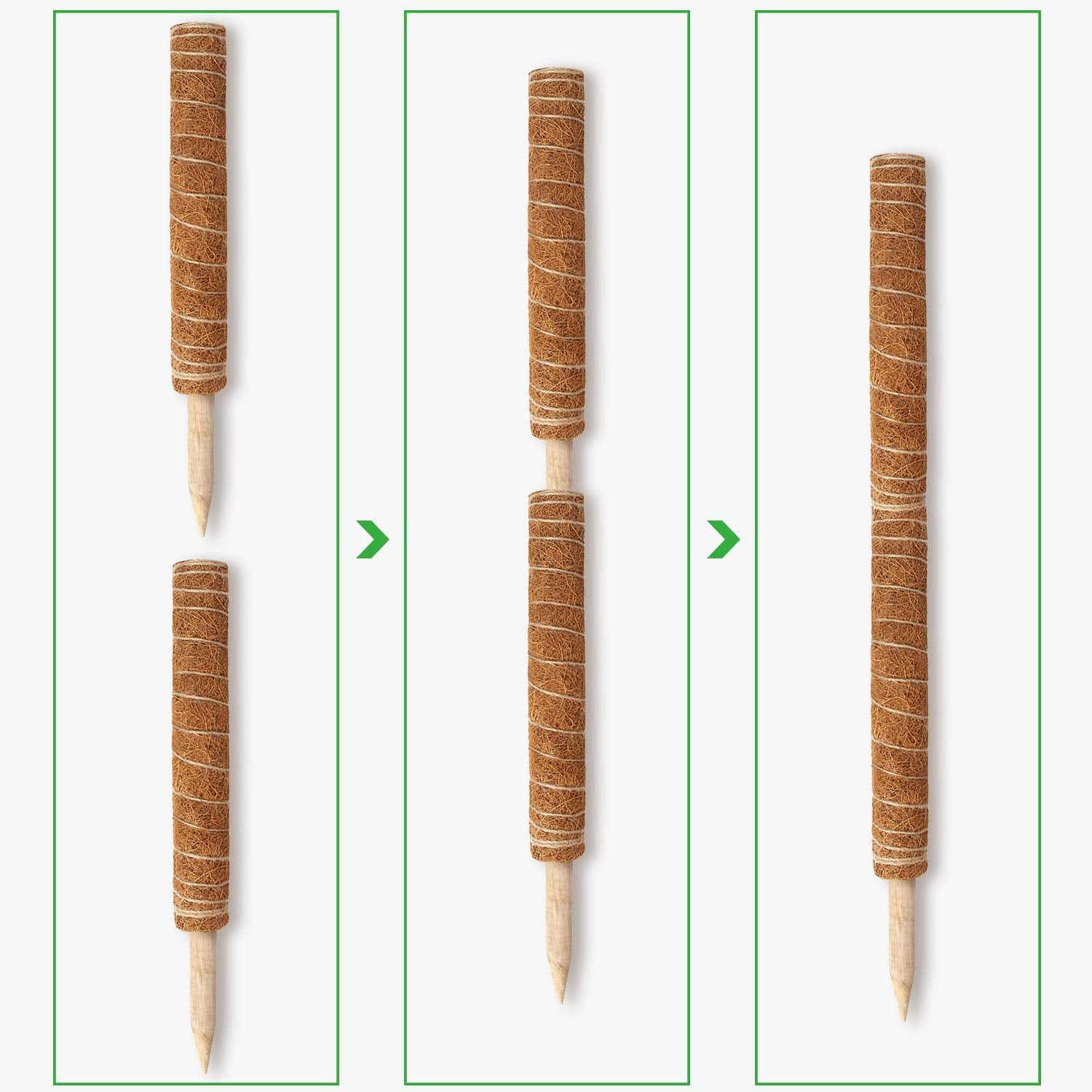 Natural coconut fiber moss pole by Augshy for eco-friendly gardening.