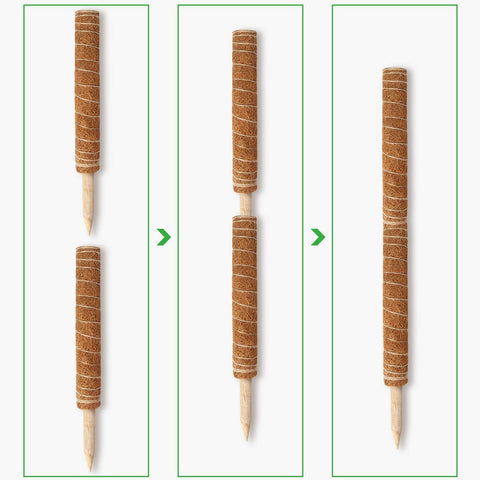 Natural coconut fiber moss pole by Augshy for eco-friendly gardening.