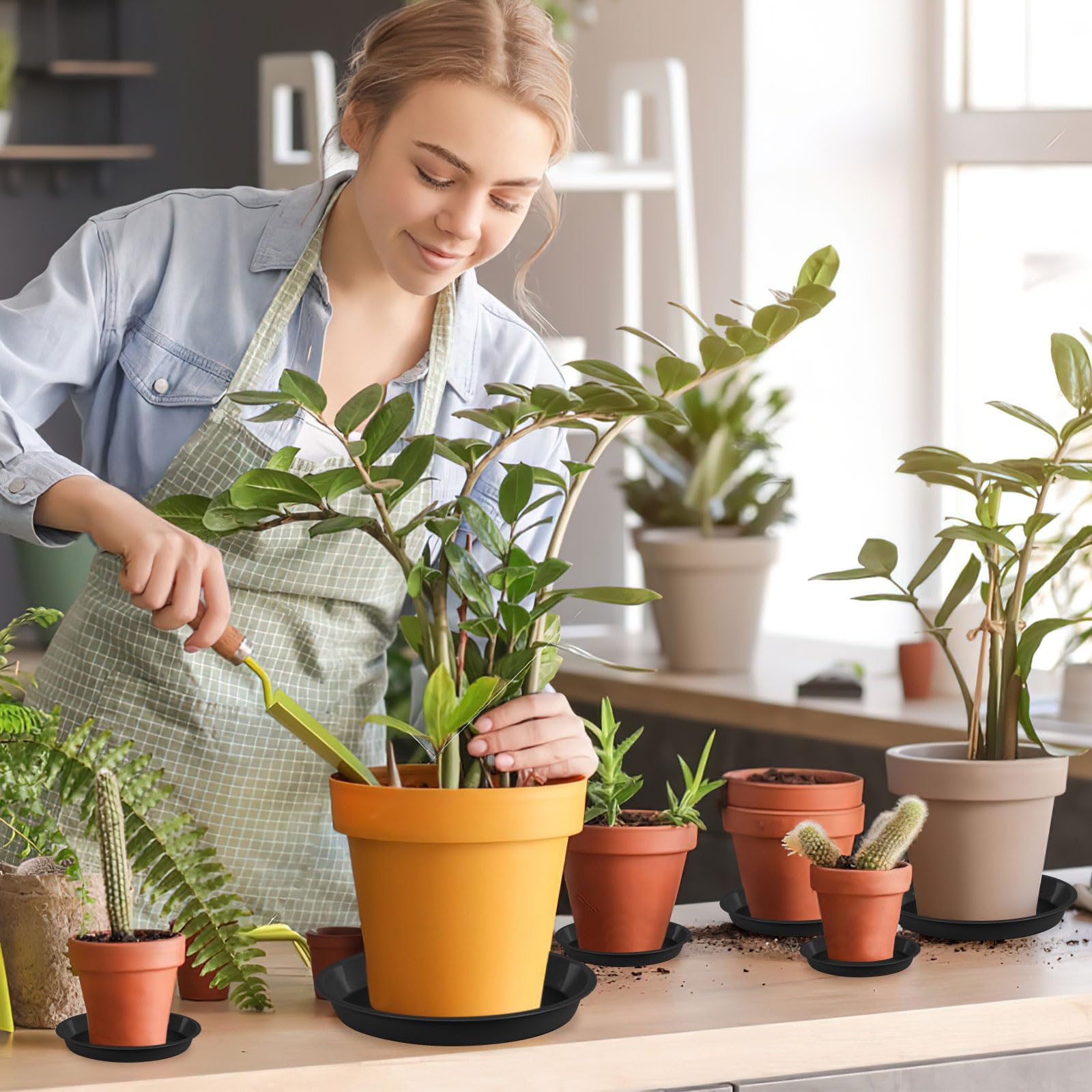 Augshy multi-size saucers arranged for different pots on a balcony