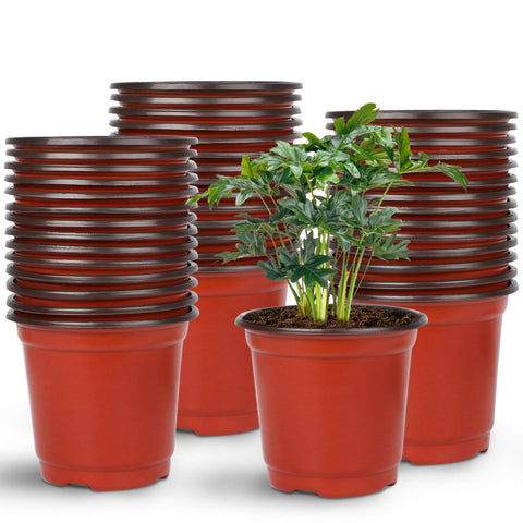 Augshy nursery pot 4-inch top view ideal for seed starting and transplanting
