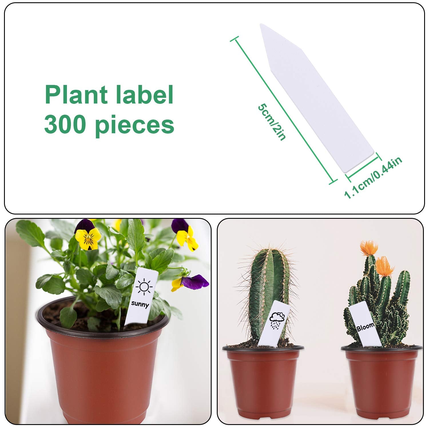 Augshy nursery pot made of durable PP material for repeated use.
