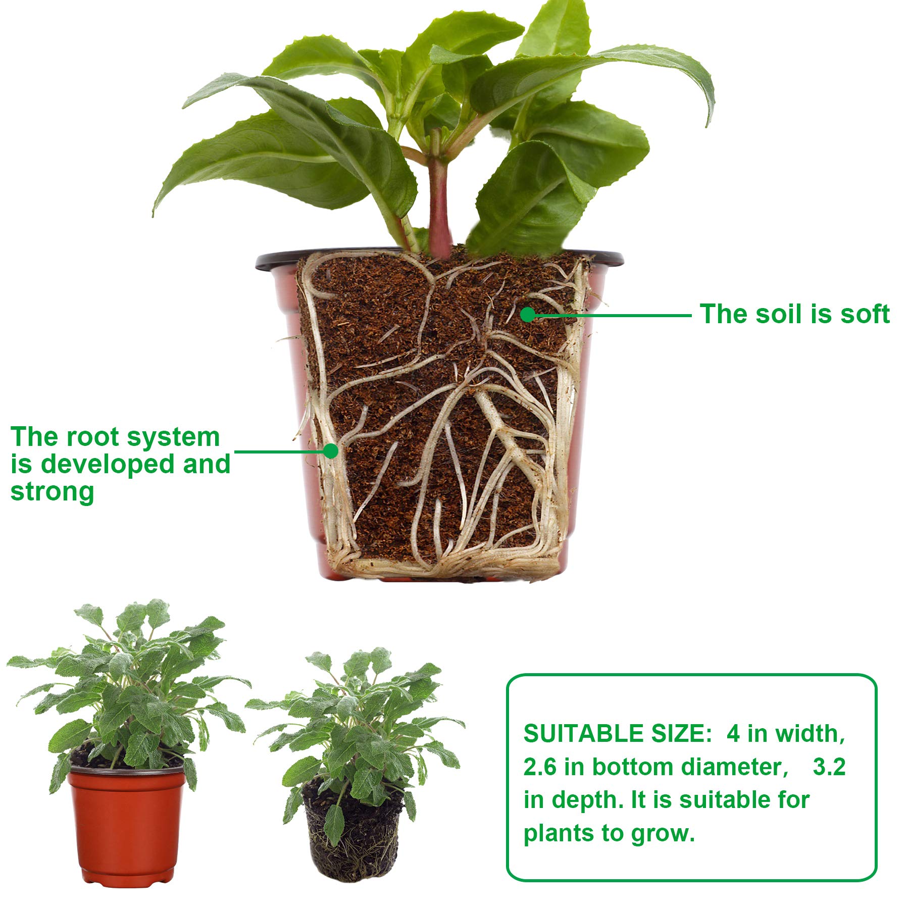 Augshy nursery pot thickened bottom supports durability and reuse after cleaning.