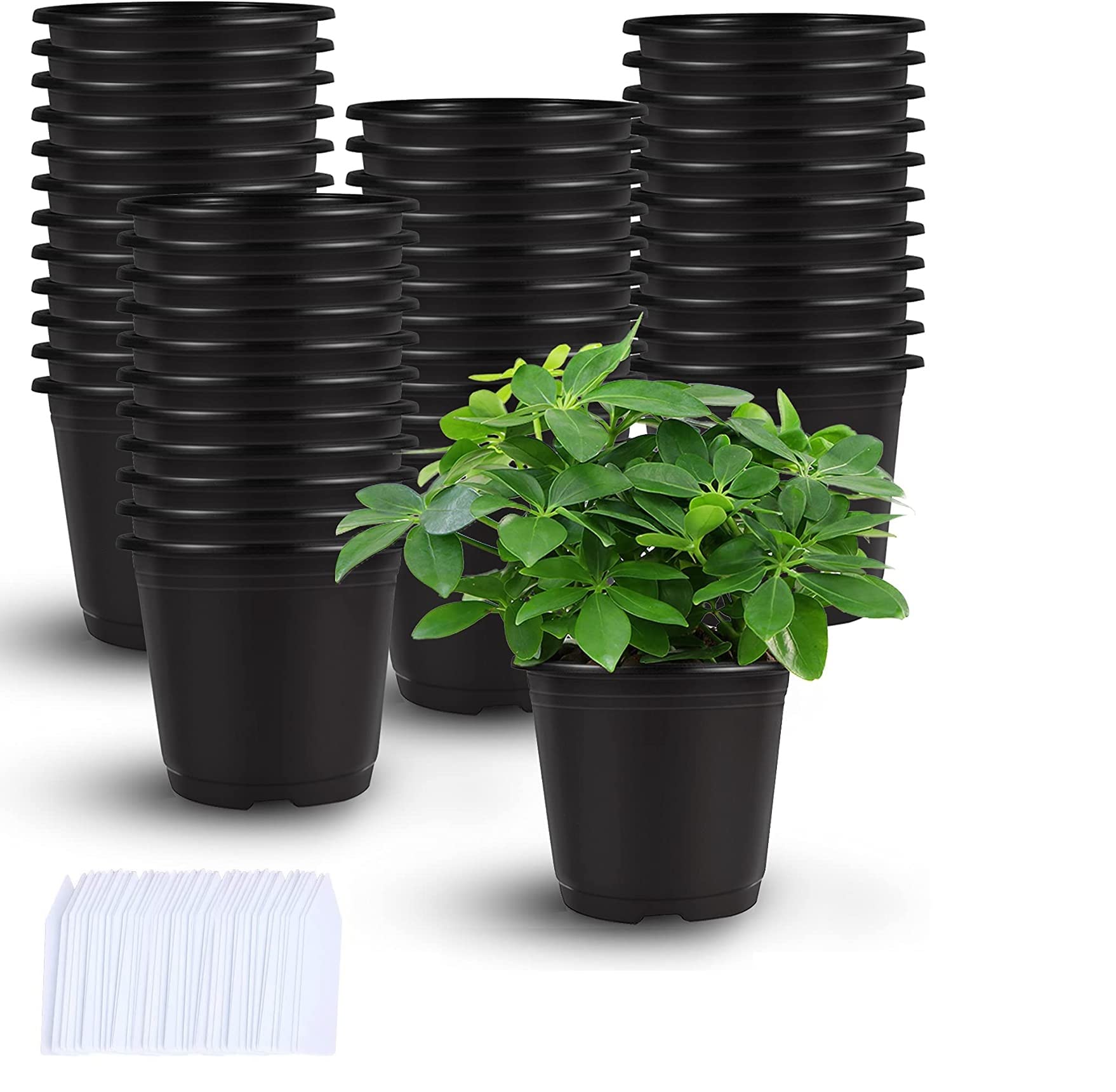 Augshy nursery pots 110-pack for seed starting and easy organization.