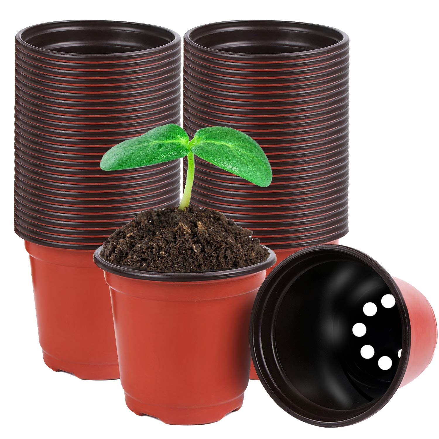 Augshy plant pots 4-inch seed starting set; sturdy plastic for healthy seedlings.