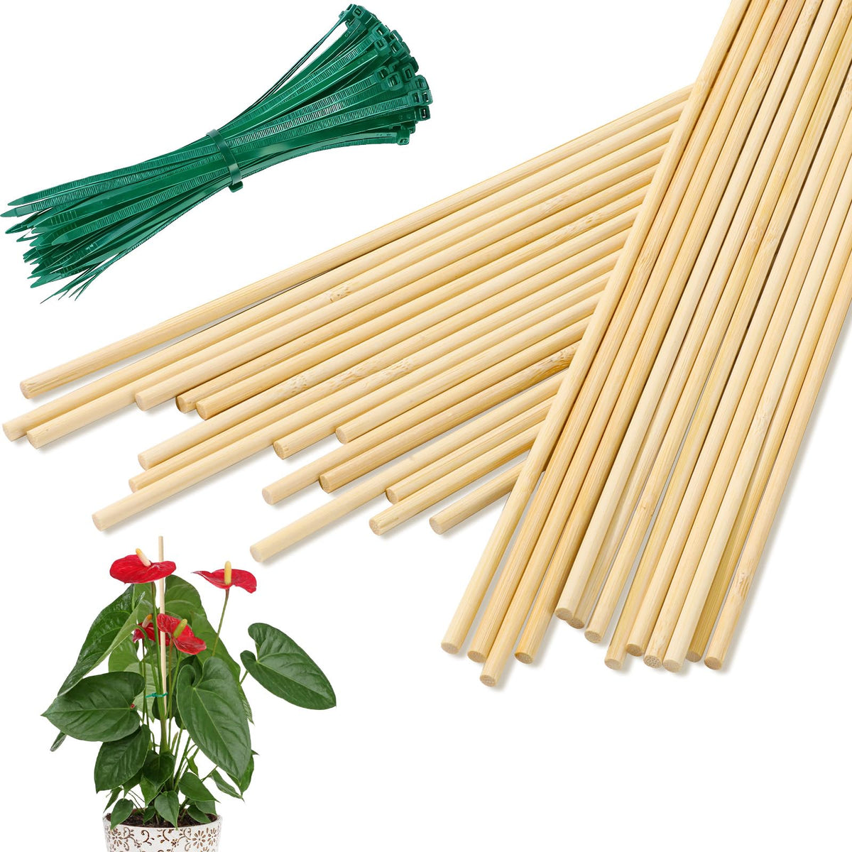 Augshy 18-inch bamboo plant stakes set for sturdy garden support.