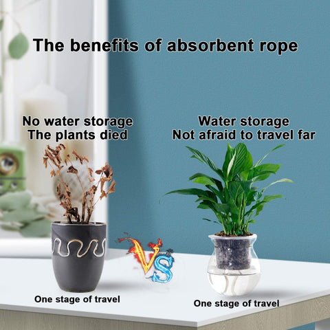 Augshy plant-watering cord design supports DIY setups for indoor and outdoor plants.
