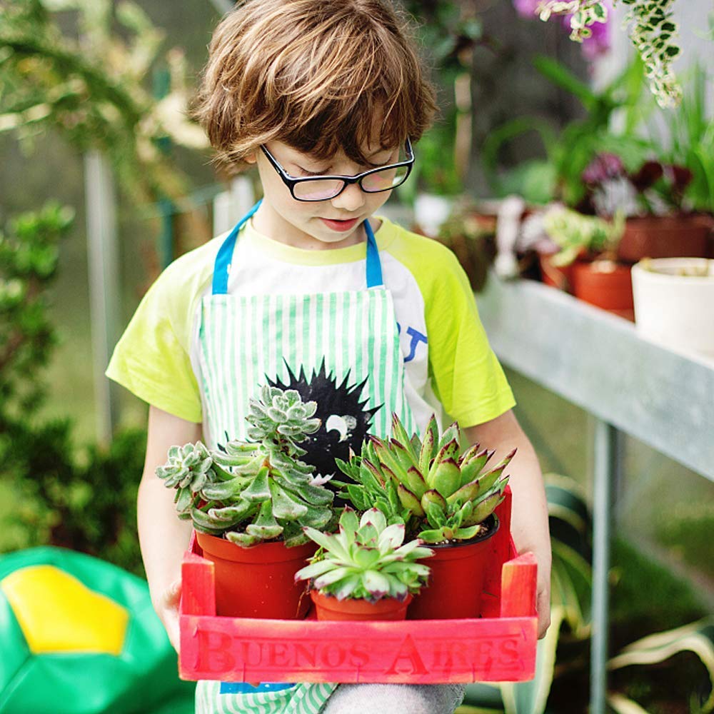 Augshy pot stackable design helps save storage space