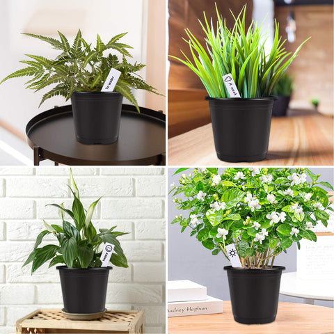 Augshy reusable plastic pots offer durability and straightforward cleanup.