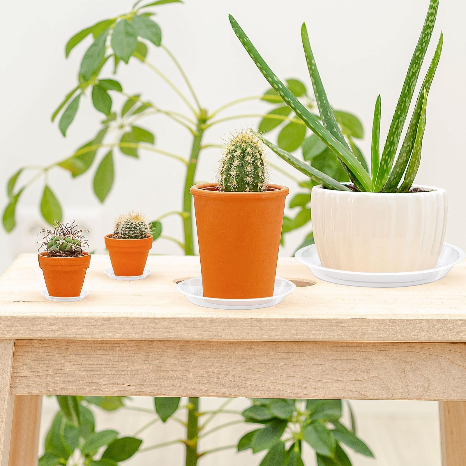 Augshy saucer protects floors and furniture in home settings