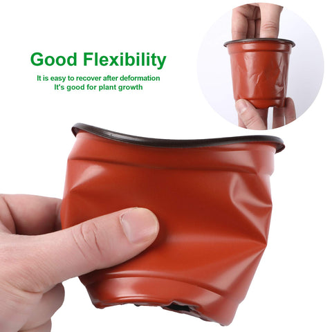 Augshy seedling pot ideal for indoor and outdoor planting setups and growth stages.