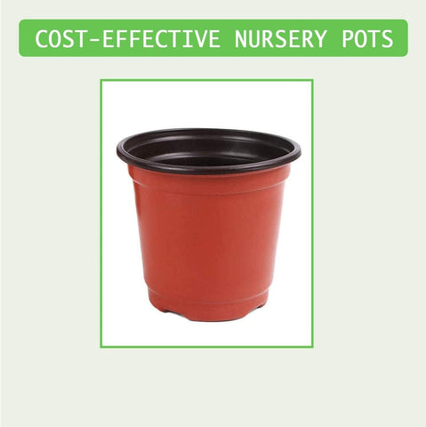 Augshy seedling pots with thicker bases improve drainage and root comfort.