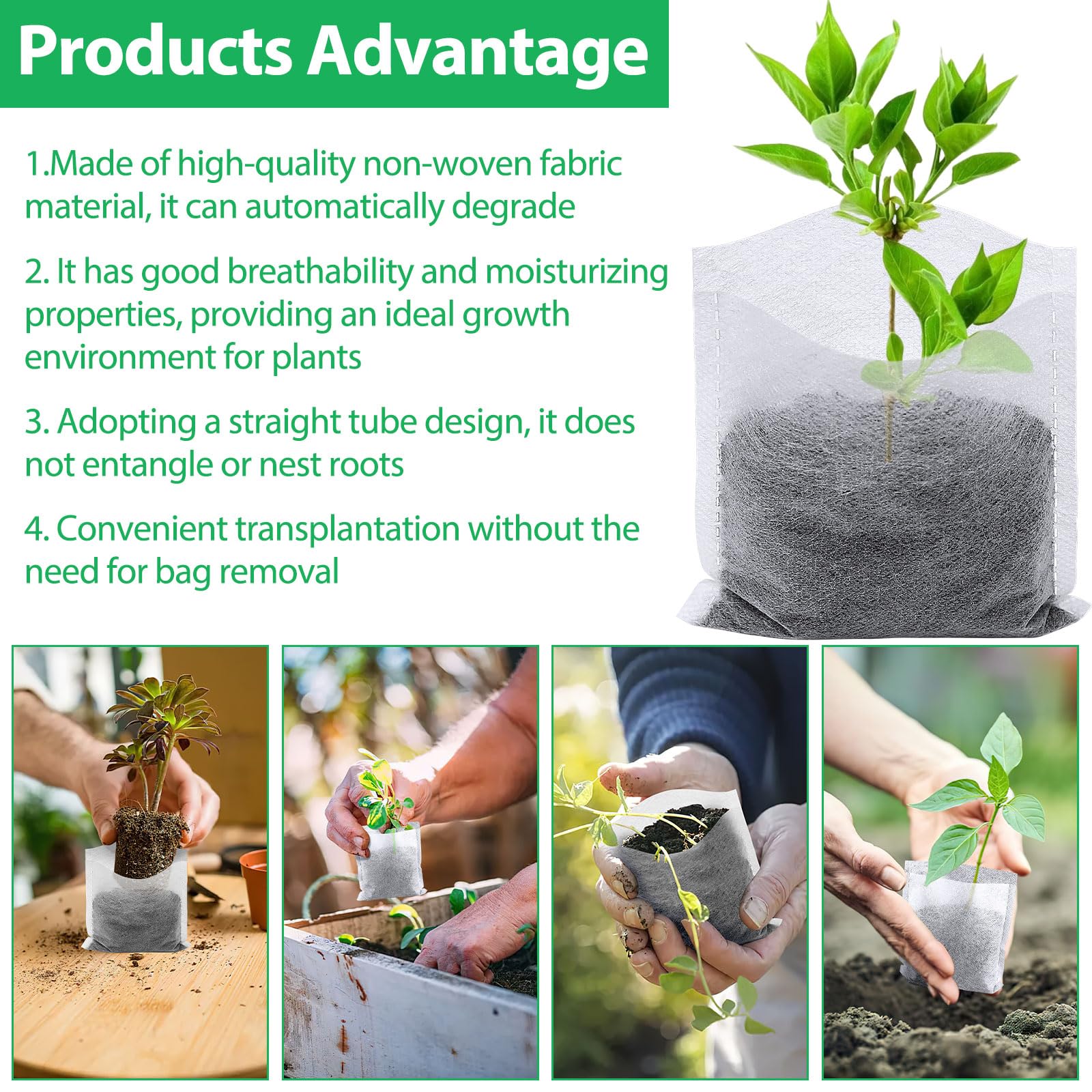 Augshy bags illustrate transplanting without removing seedlings
