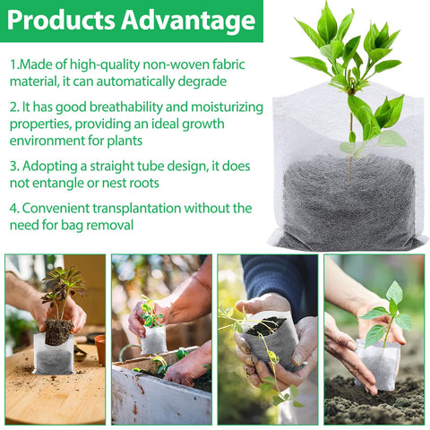 Augshy bags illustrate transplanting without removing seedlings