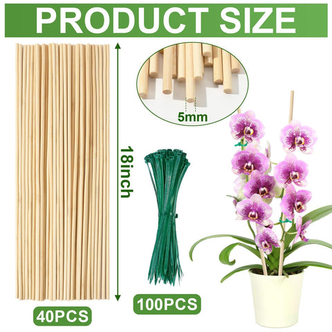 Augshy smooth-surface bamboo stake prevents splinters for safe handling.