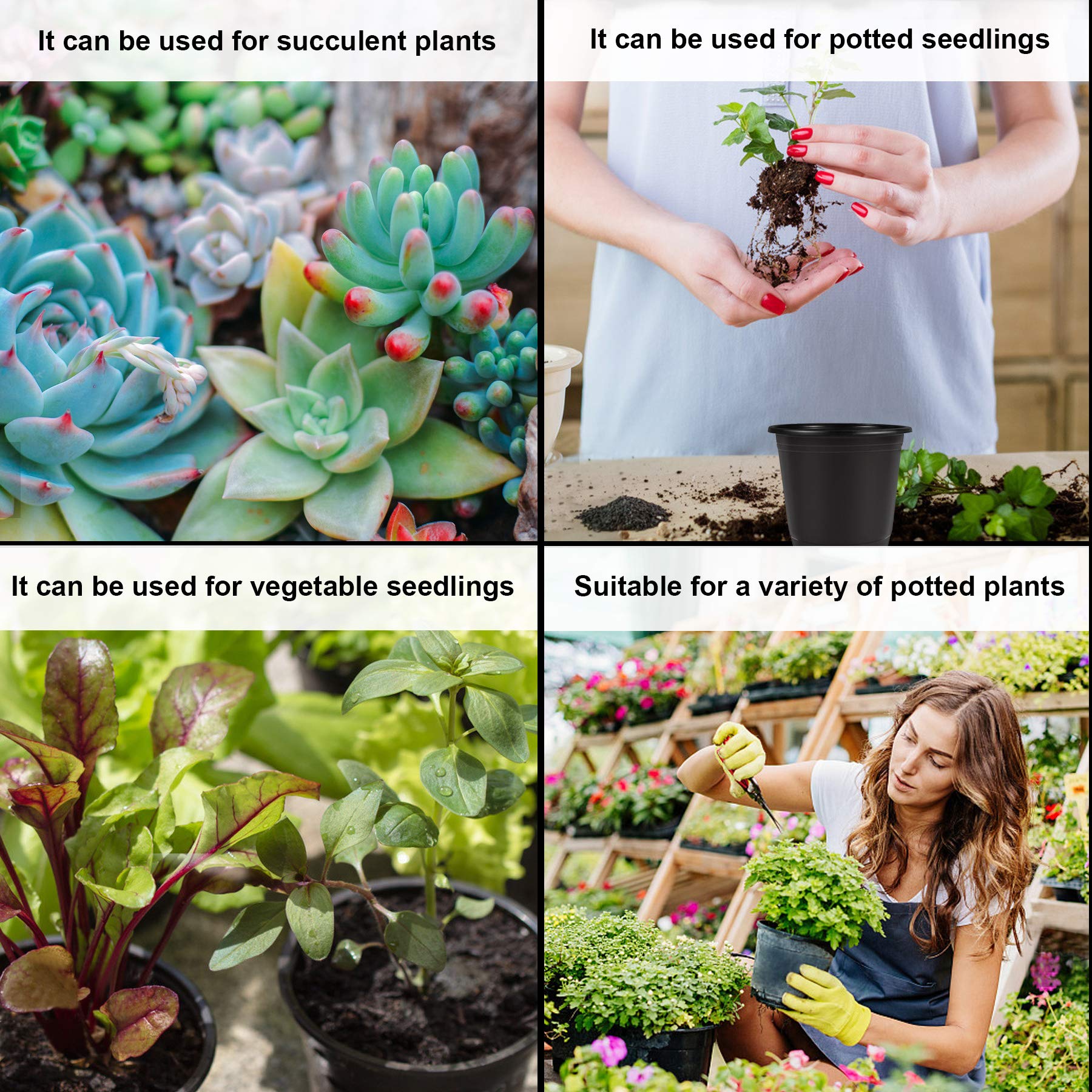 Augshy succulent and herb starters fit these pots for easy propagation.