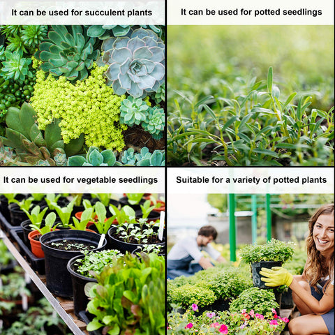 Augshy perfect for succulents, herbs, and small annual vegetables