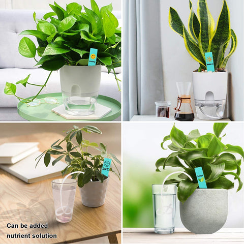Augshy travel-friendly wick assists reliable watering while away.