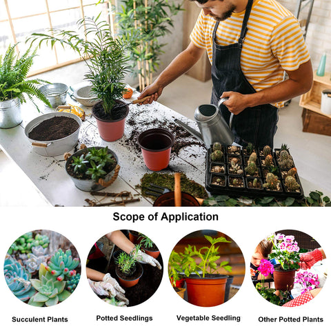 Augshy urban garden display enhances storefronts and home decoration.