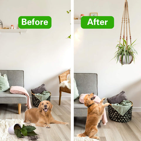 Augshy versatile hanger fits balcony, kitchen, or hallway displays.