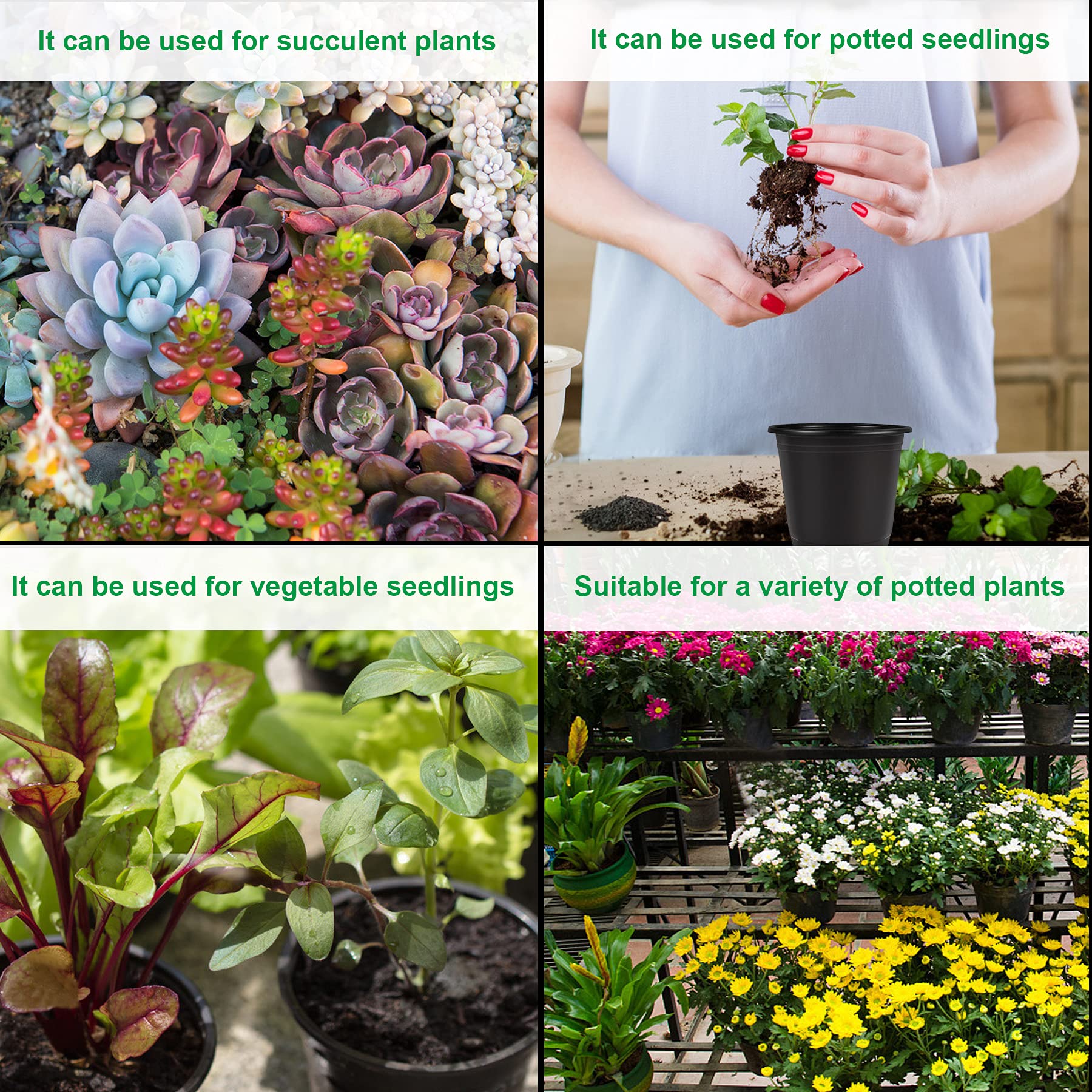 Augshy versatile pots suitable for succulents, cuttings, and small vegetables.