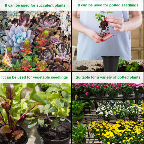 Augshy versatile pots suitable for succulents, cuttings, and small vegetables.