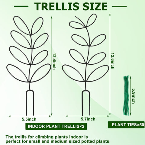 AUGSUN durable metal trellis with rust-resistant coating for long-lasting houseplant support.