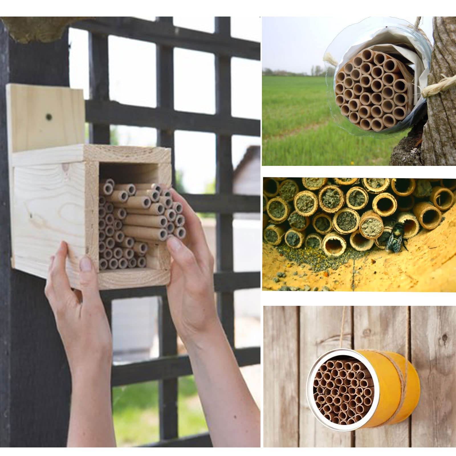 AukBeeFun 200-pack mason bee tubes ideal for filling multiple nesting spots