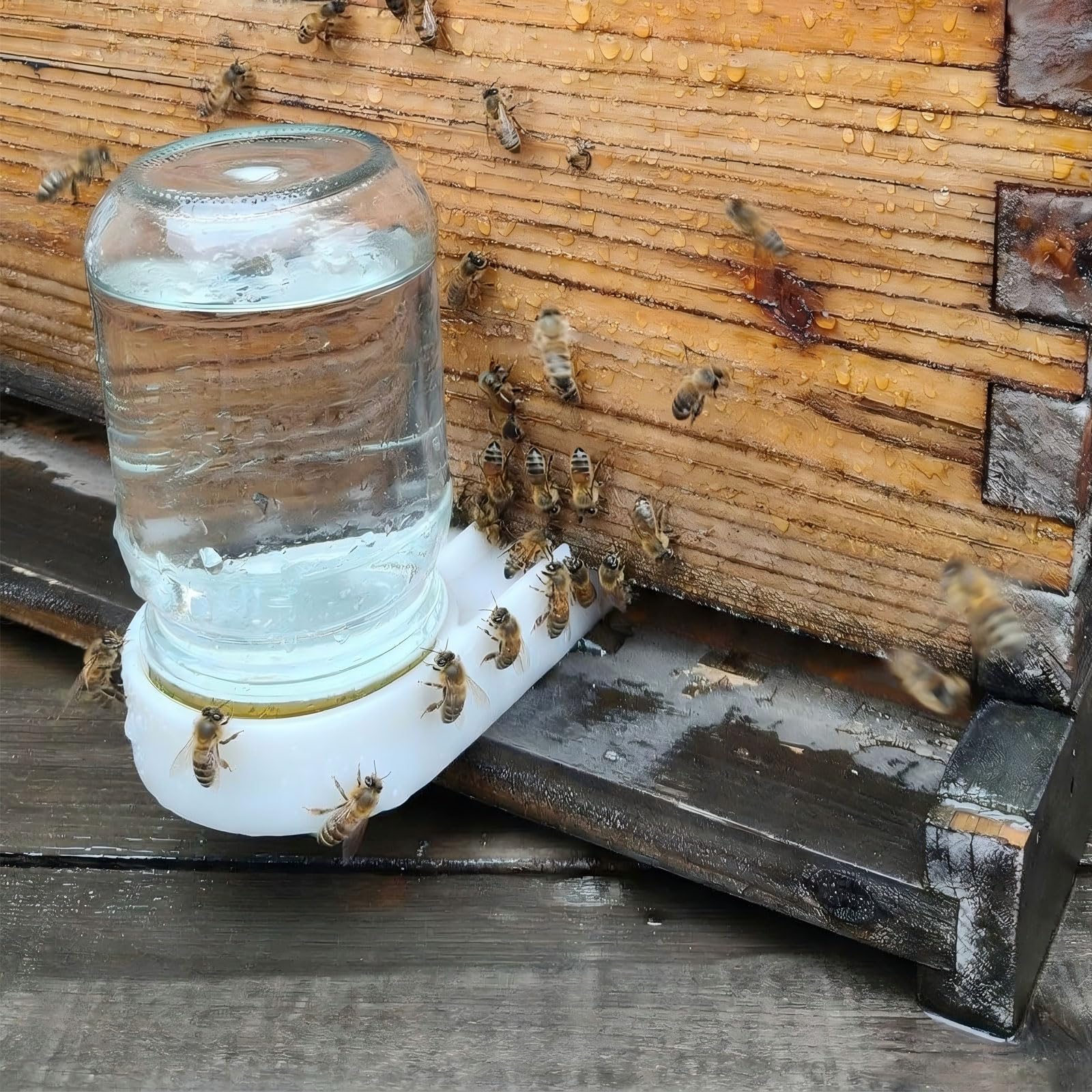 AukBeeFun entrance feeder ready for easy monitoring of flow