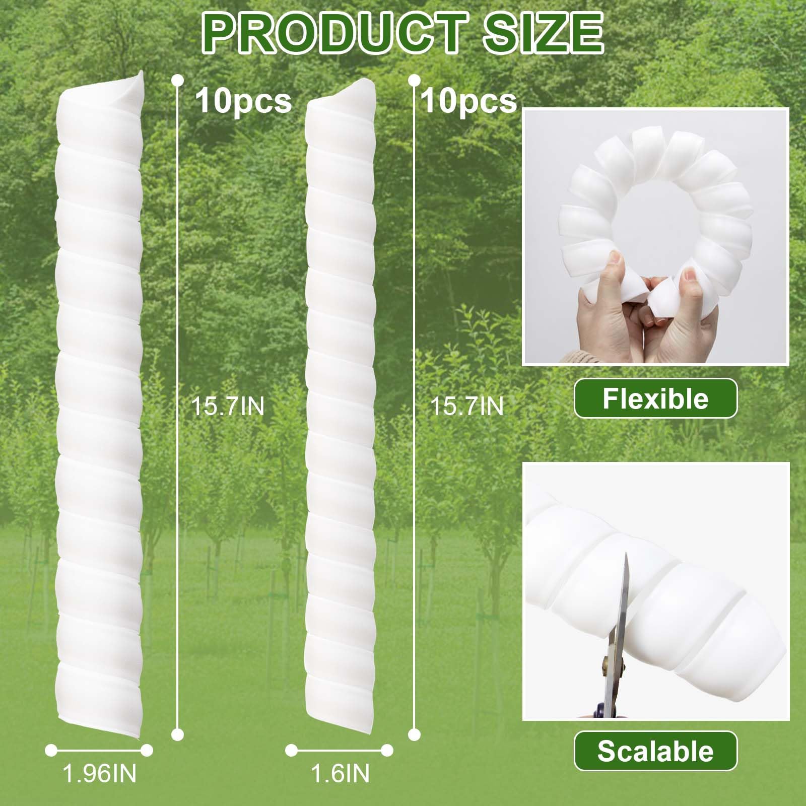Aukney white tree guard wrapped on a trunk helps prevent lawn equipment contact.
