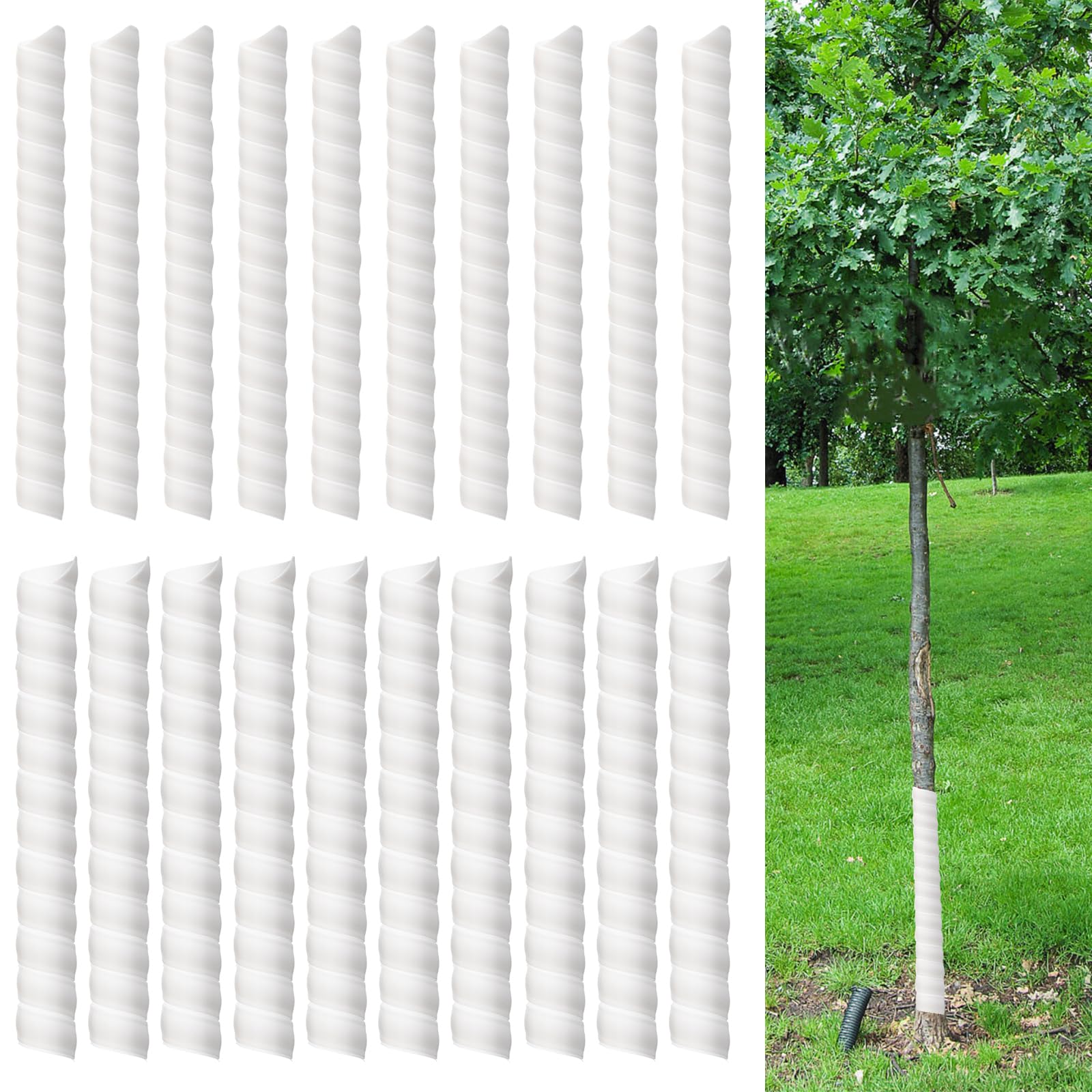 Aukney spiral trunk protector wrapped around a sapling to shield bark from pests.
