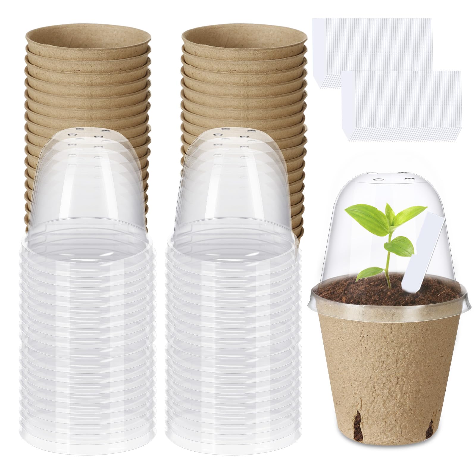 Aulock 36-set seed starting pots with a transparent humidity dome for germination