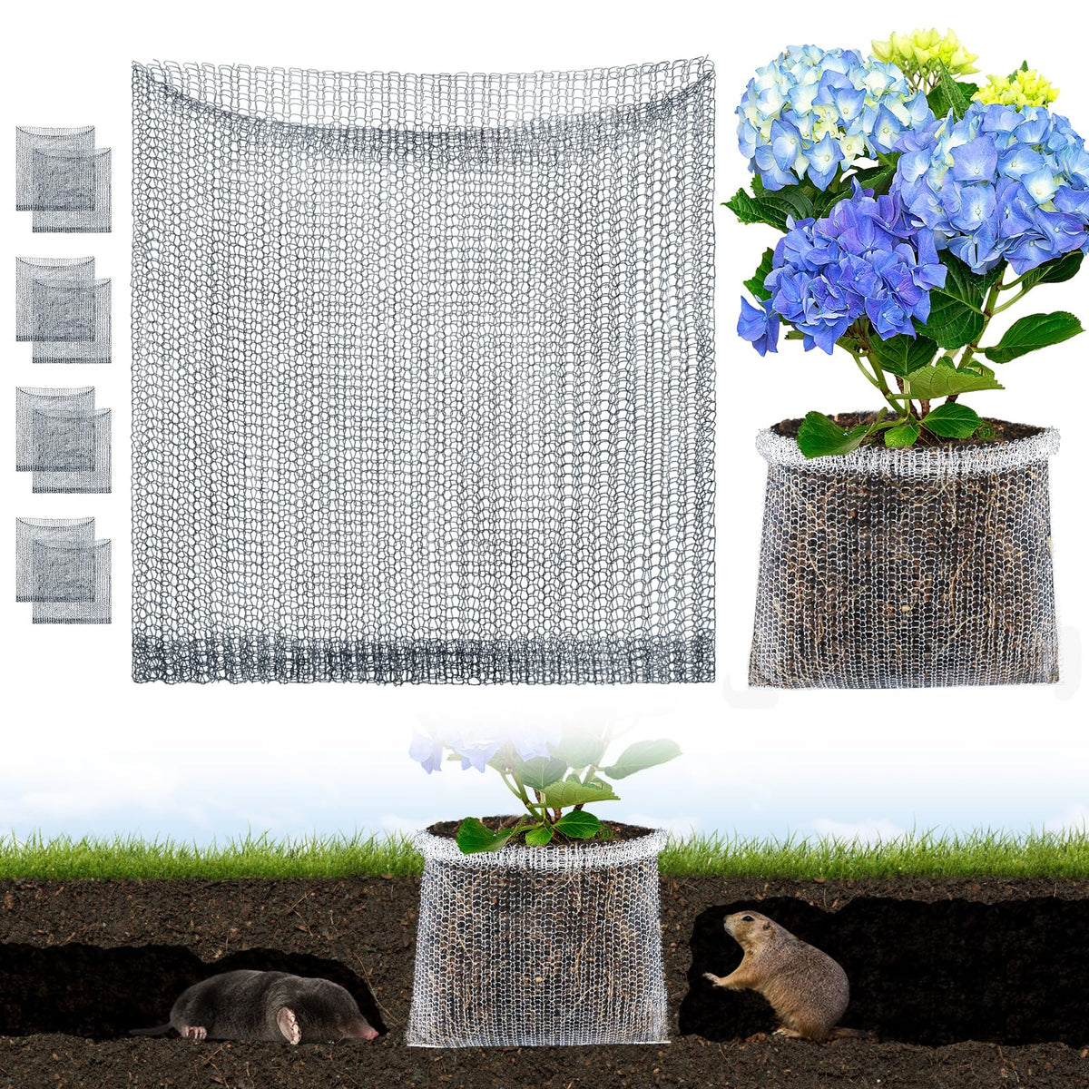 Aulock 5-gallon root guard basket protecting tree roots from burrowing animals.