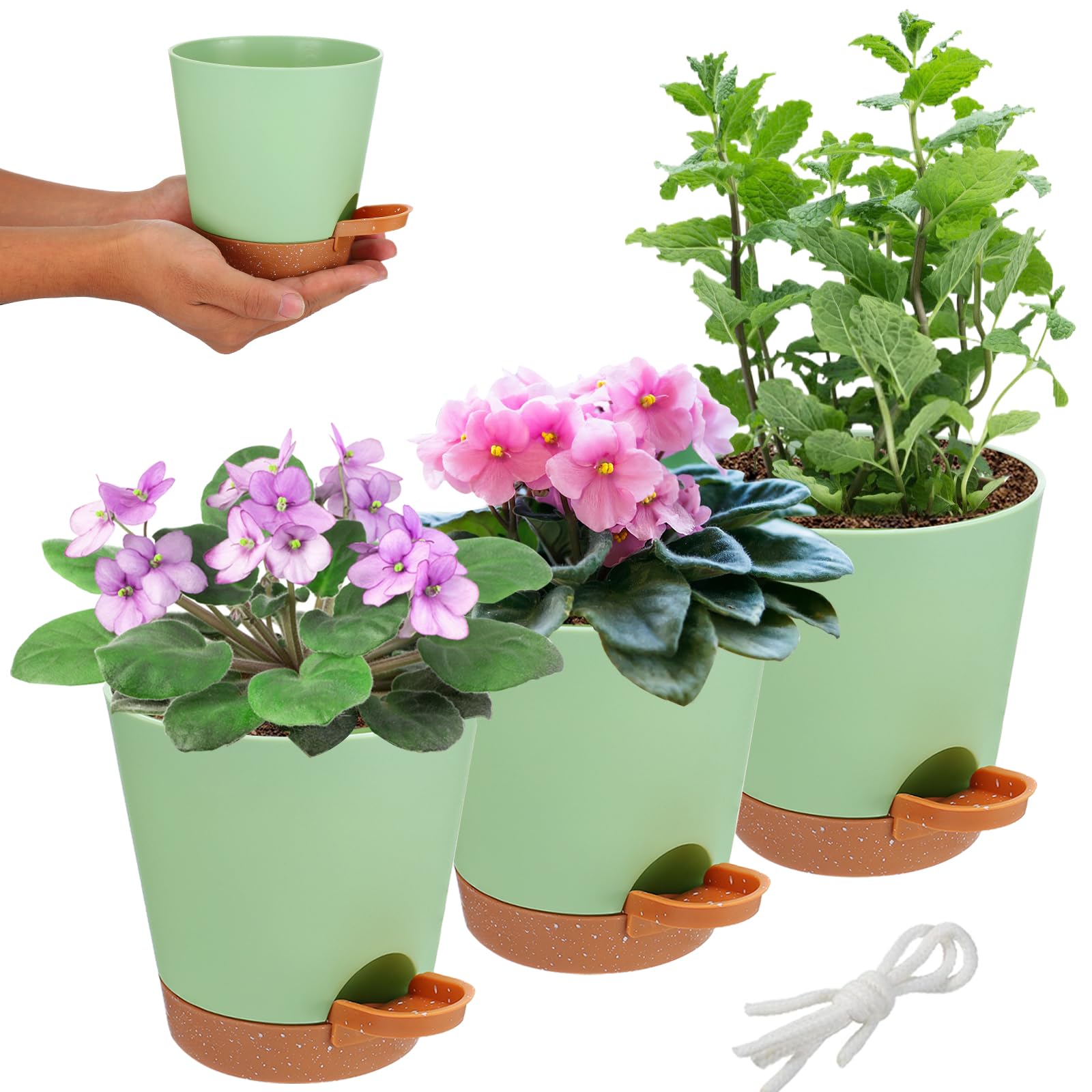 Aulock 5in self-watering pots set for easy indoor plant care.