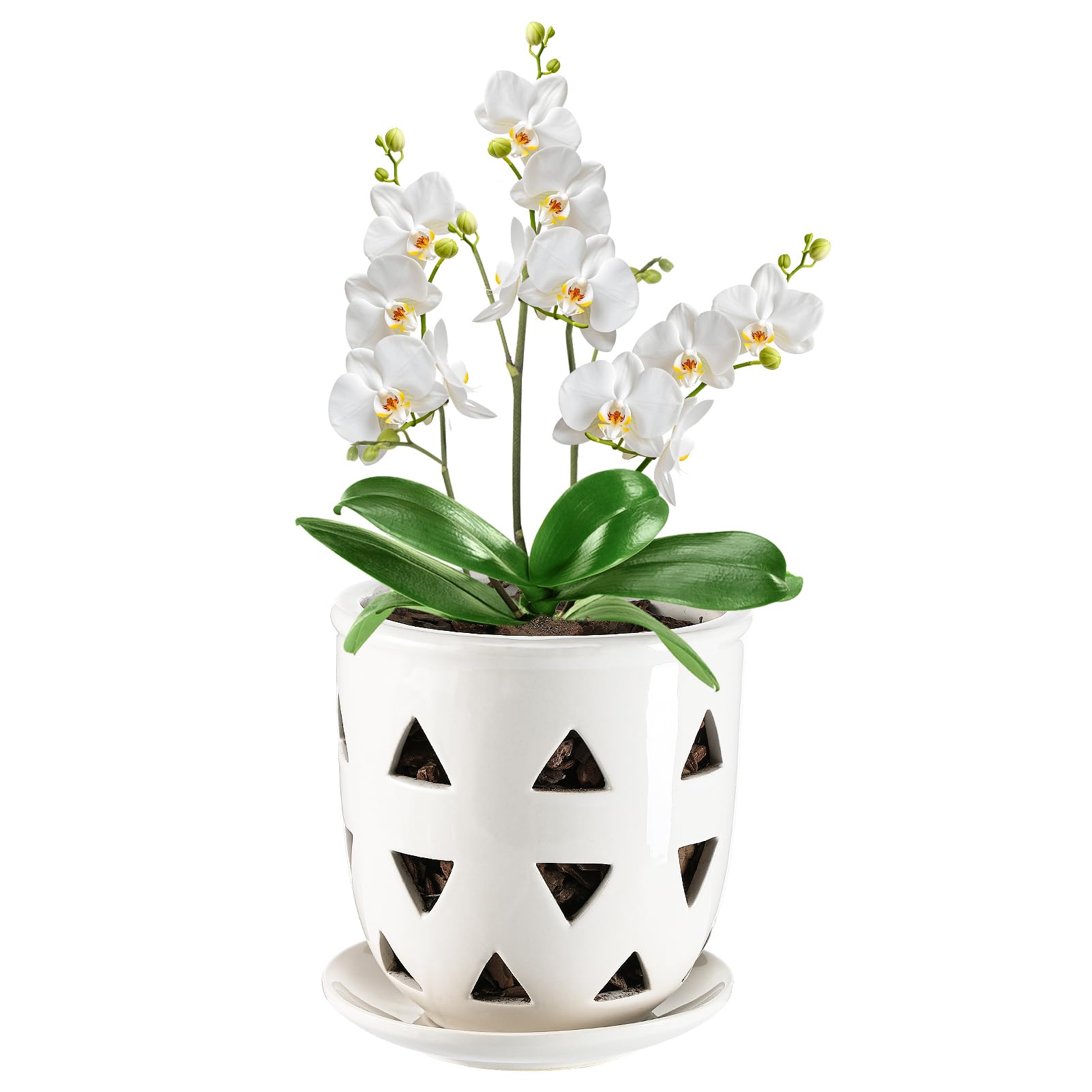 Aulock 6in ceramic orchid pot with a clean white finish for elegant indoor displays.