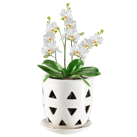Aulock 6in ceramic orchid pot with a clean white finish for elegant indoor displays.