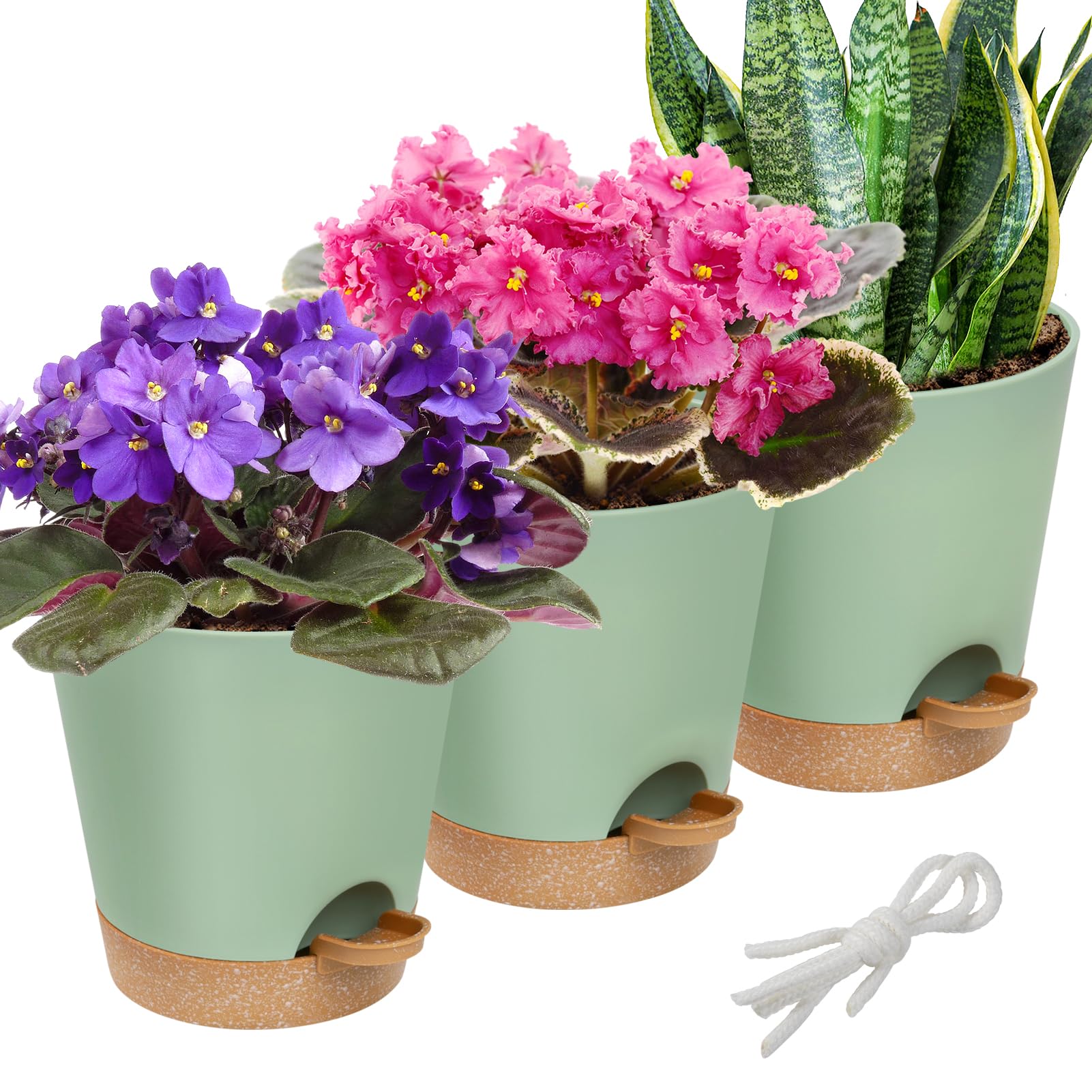 Aulock 6in self-watering pot with bottom tray maintains root moisture.
