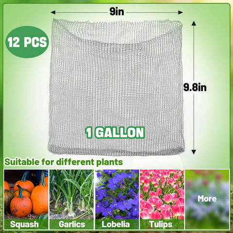 Aulock 6-pack packaging for convenient multi-plant protection