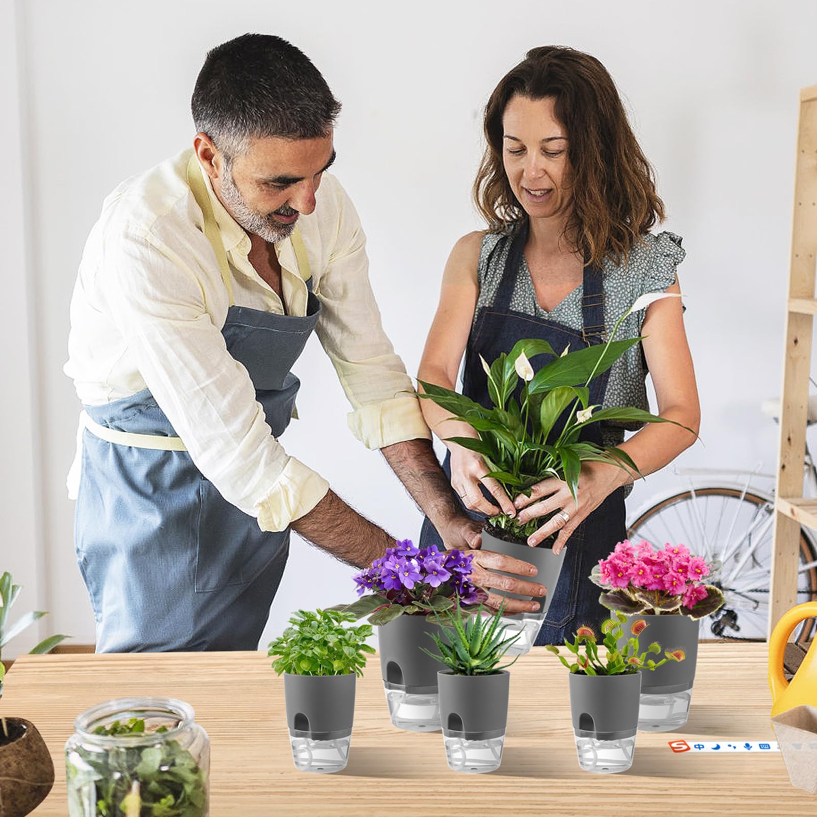 Aulock pot shown with African violet to demonstrate compact plant compatibility.
