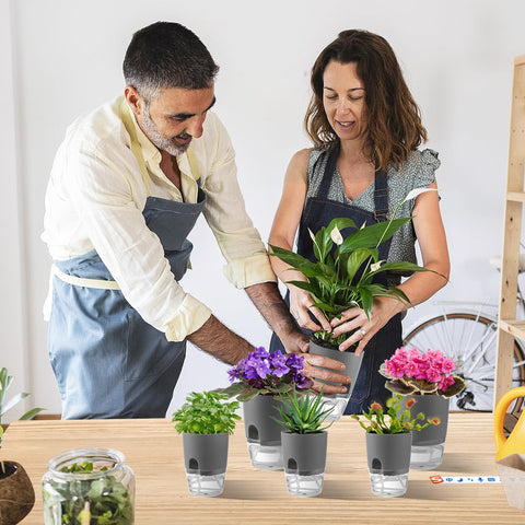 Aulock pot shown with African violet to demonstrate compact plant compatibility.