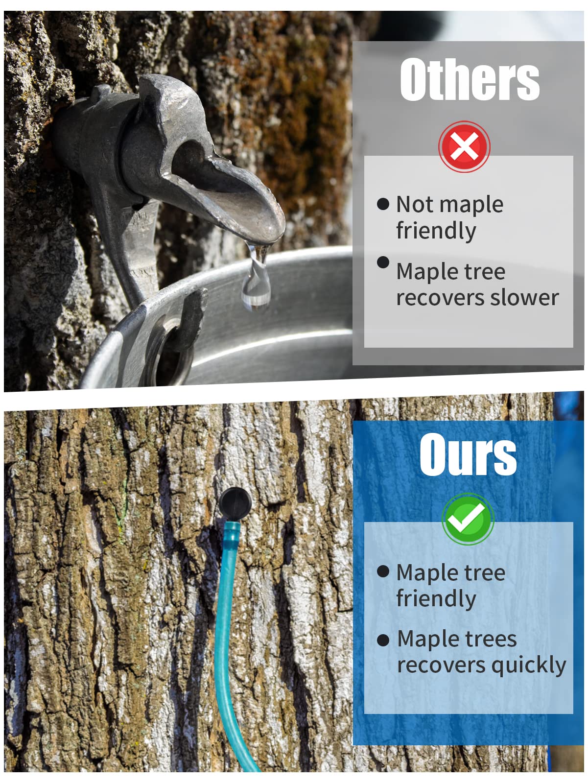 Blue dropper visible in Aulock kit for quick tool location and sap protection.