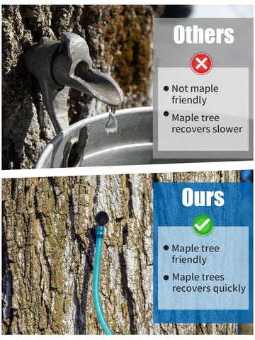 Blue dropper visible in Aulock kit for quick tool location and sap protection.
