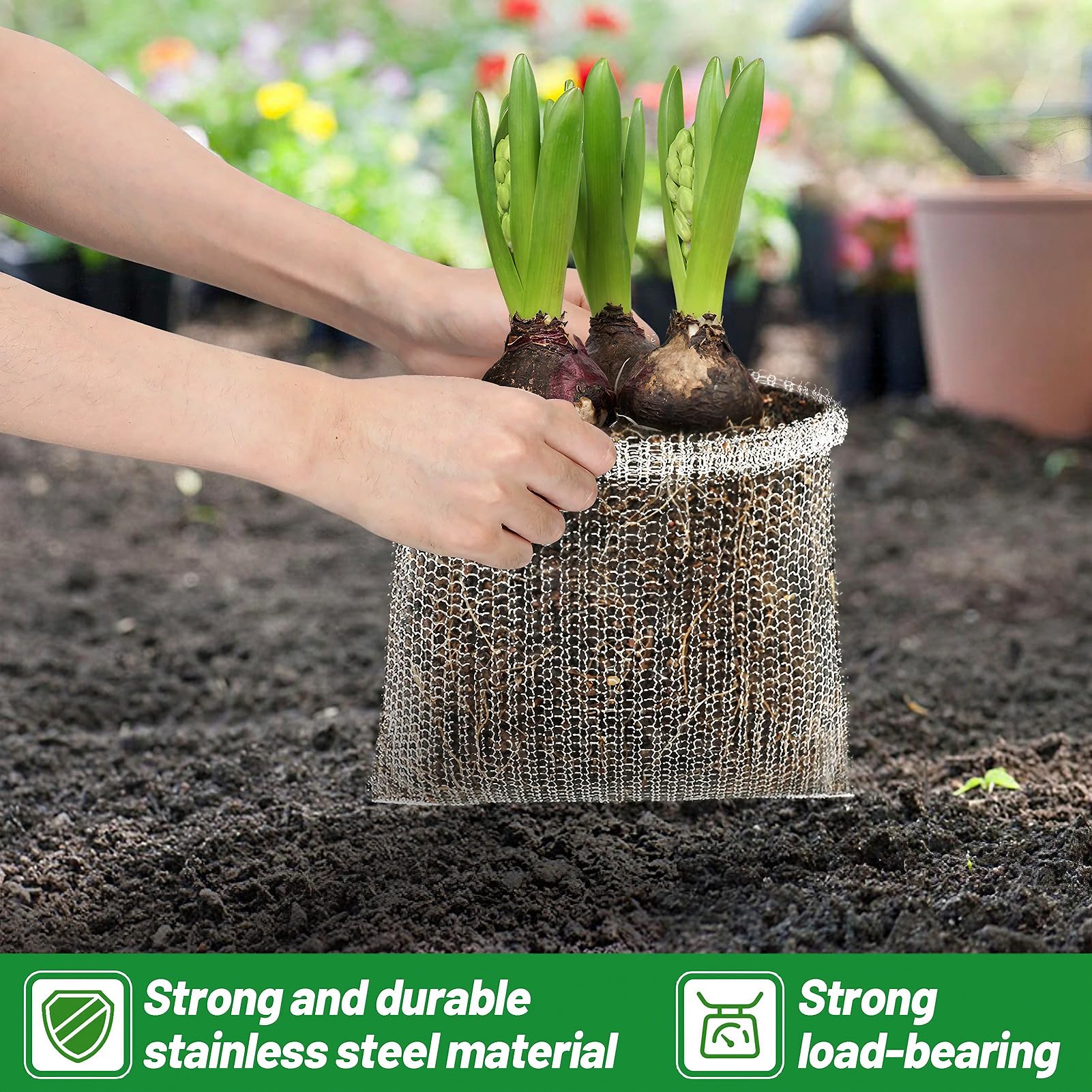 Aulock guard basket bottom ring provides sturdy root protection