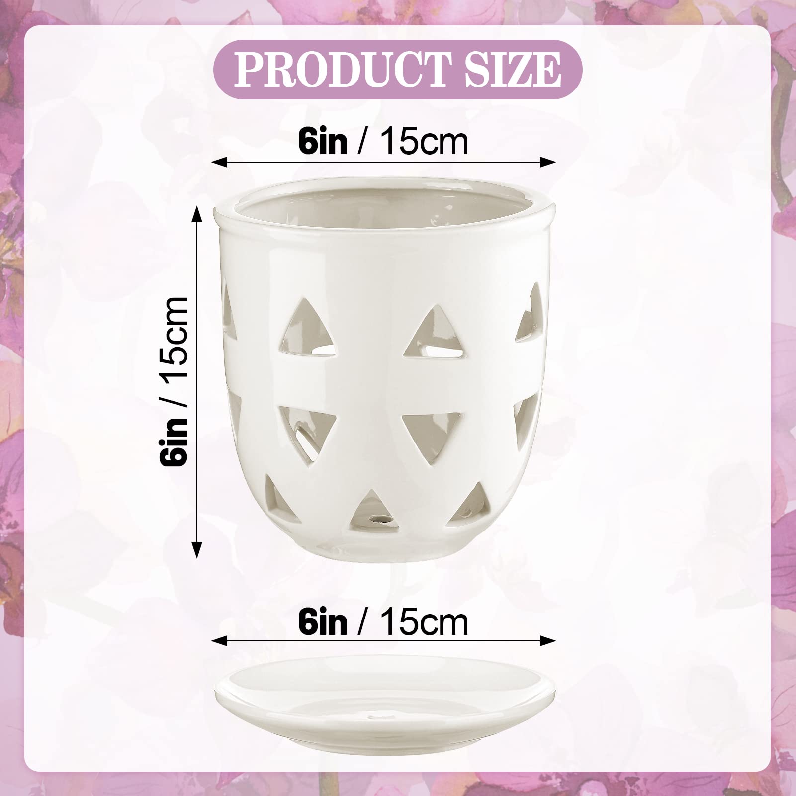 Aulock 6in ceramic pot with saucer provides a tidy, moisture-ready home.