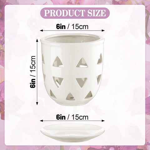 Aulock 6in ceramic pot with saucer provides a tidy, moisture-ready home.